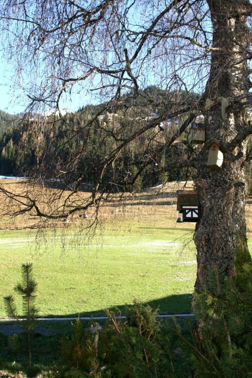 Pension Enzian Saalbach-Hinterglemm Exteriör bild